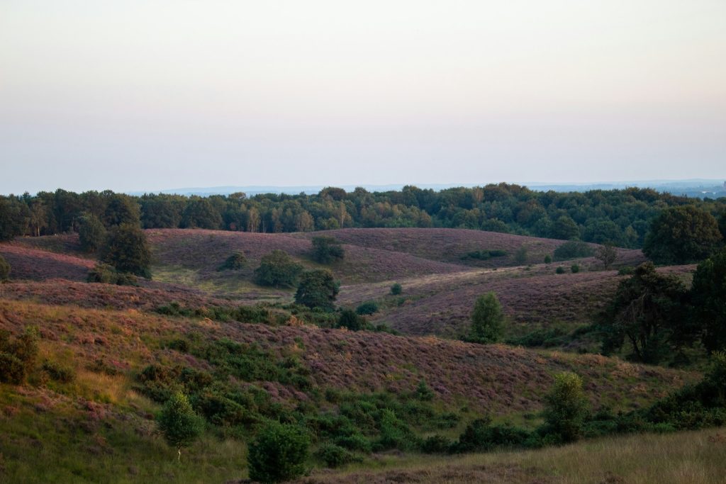Veluwe Vakantiehuis